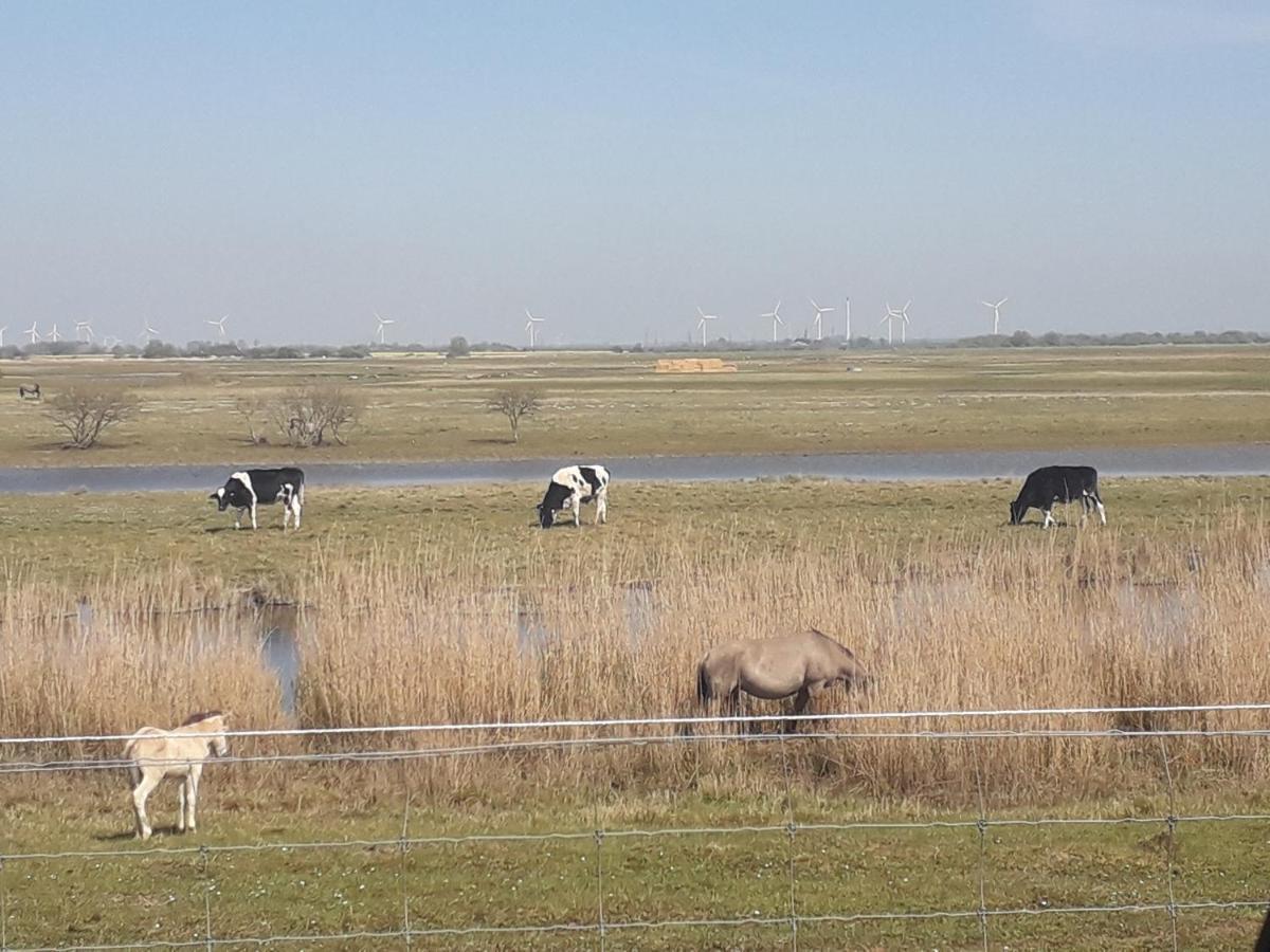 Hébergement de vacances Buesumer Blaue Krabbe Büsum